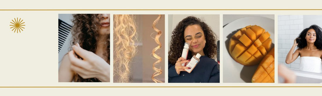 Het verschil tussen droog en beschadigd haar - Nywele - Essential curlcare